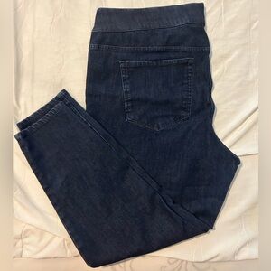 Size 22W LIKE NEW Jegging